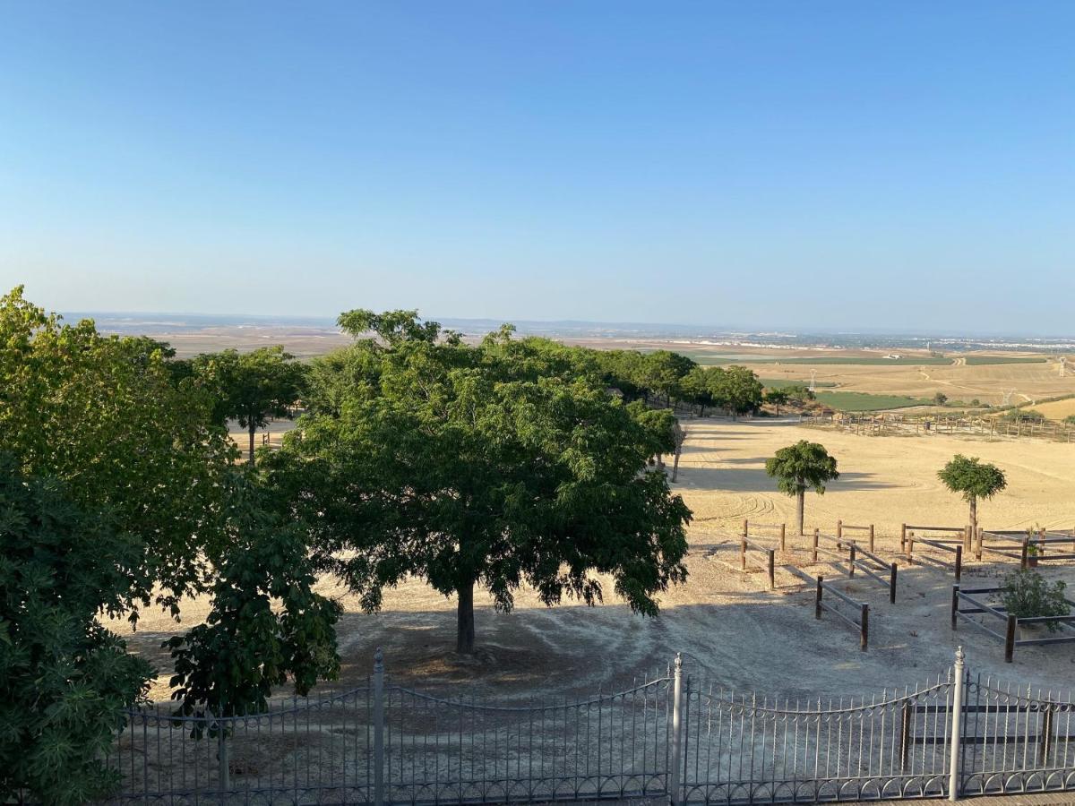 Sevilla Saltera Casa Rural Cerca Centro De Sevilla Familiar - Trabajo - Wifi Salteras 외부 사진