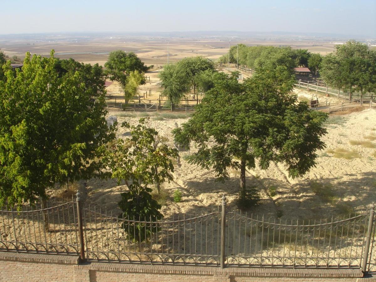 Sevilla Saltera Casa Rural Cerca Centro De Sevilla Familiar - Trabajo - Wifi Salteras 외부 사진